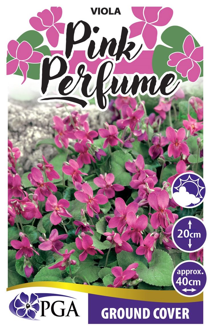 Plant Growers Australia - Viola Pink Perfume